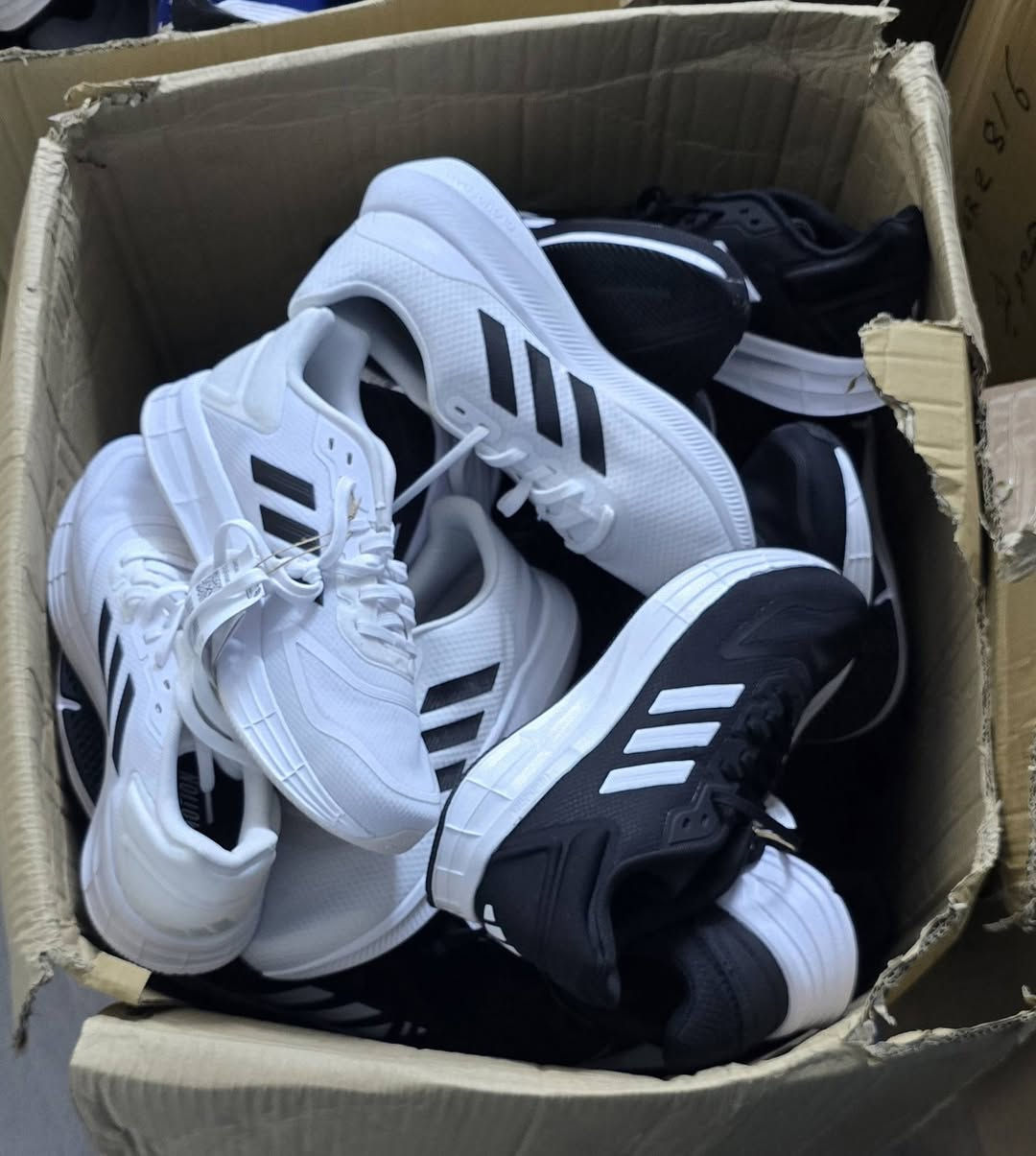 پێڵاوی ئۆرجينال ئەوروپی مارکەی adidas    
قياس 40 تاوەکو 45
***********

أحذية أديداس أصلي وكالة أوروبي
الماركة: adidas
المقاسات: من 40 إلى 45
***********
