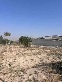 أبي الخصيب أبو كوصرة • ١٠٠٠م • طابو زراعي