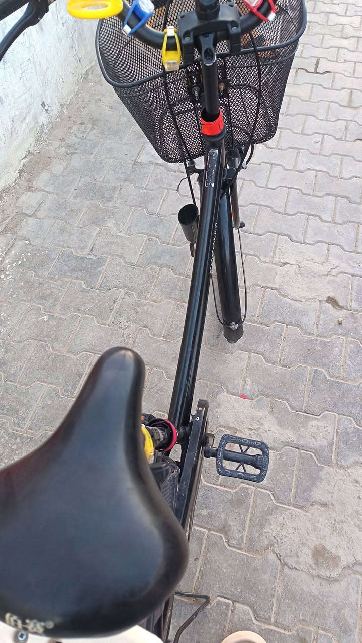 السلام عليكم عندي باسكل للبيع نضيف برغي ماعيز شغال الباسكل سعر 105وبي مجال الطيبين المكان نجف حي نصر


**إذا كنت صاحب هذا الإعلان وتريد حذفه لأي سبب، رجاءا أرسل رسالة إلى الدعم الفني**