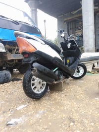 ماكس عدله • بوشه ٤٩ • براهميه