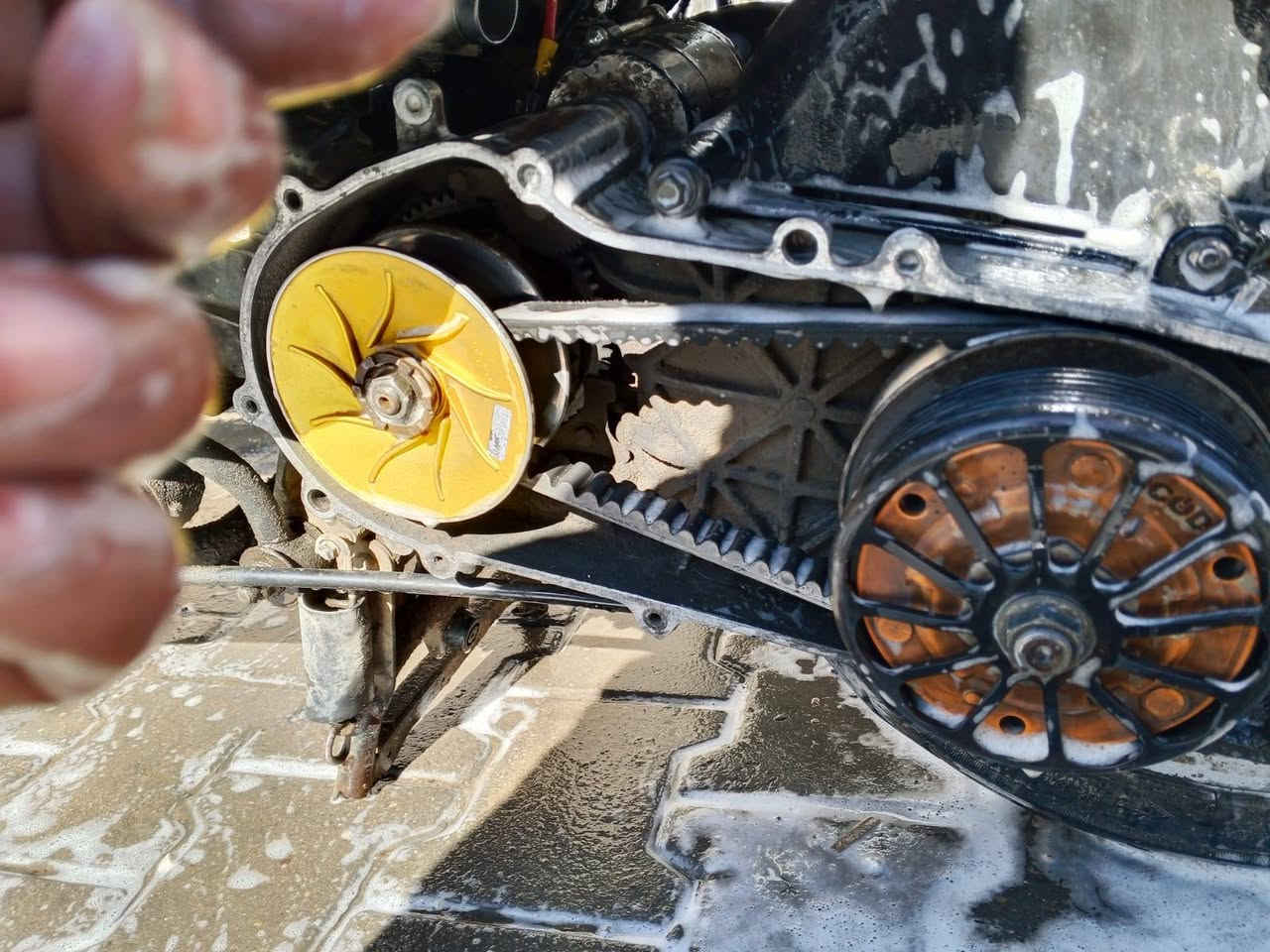 ‏سلام عليكم 
‏شباب دراجه سكنس فحل نوزل للبيع .
‏دراجه كلاجات رياضي اصلي 💯
‏بوشه 59 تشك الكاع محرك شغال
‏صالنصه صوت رعيد 
‏نقص نوزل ( كهربائيات) كوم حديد 
‏سعر 275
‏رقمي/ *********** متواجد واتساب واتصال 
‏
