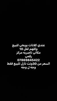 إلكترونيات • ناصرية مركز • إشارة