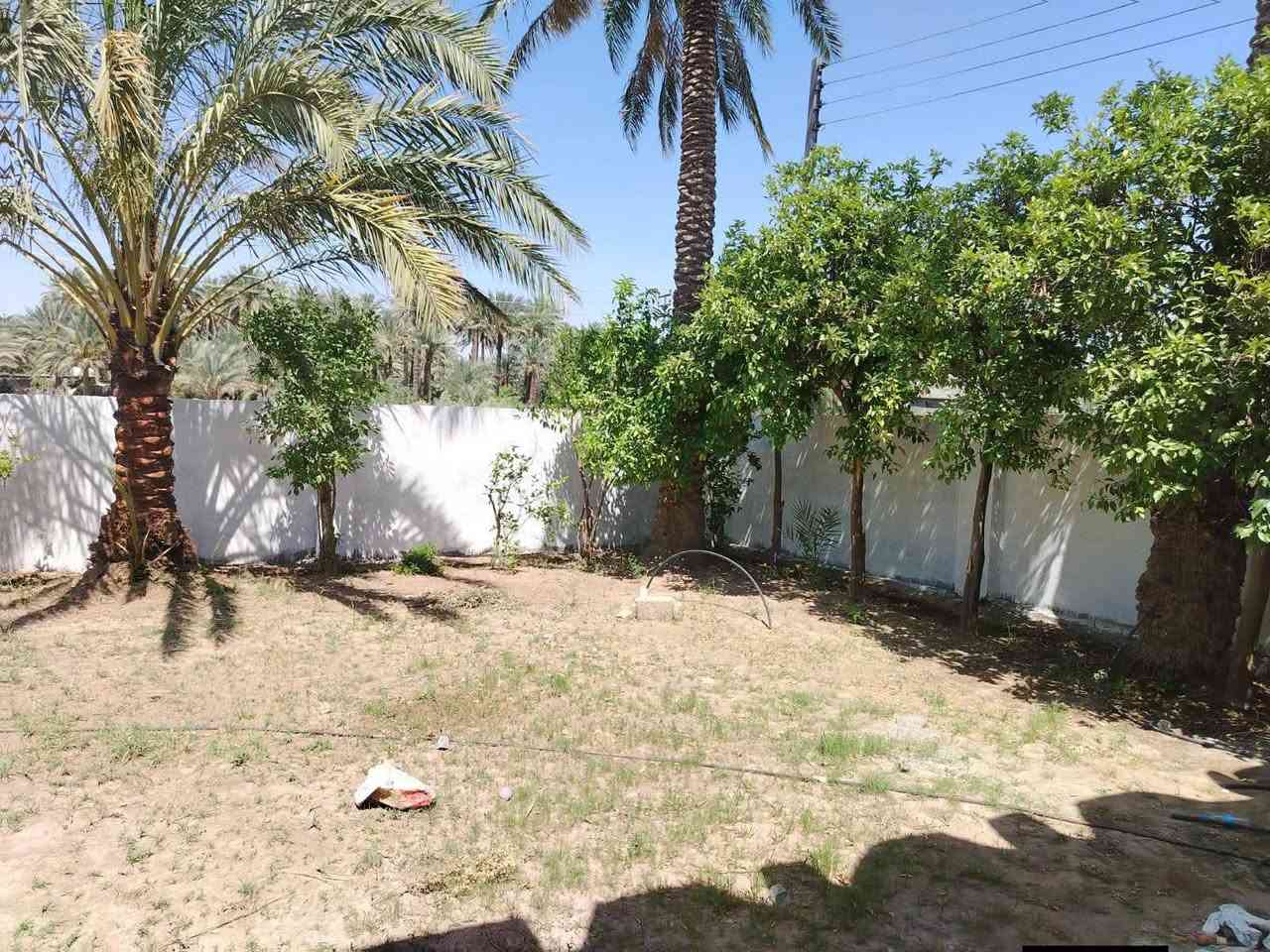 🏡 للبيع – بيت سكني في قرية كلواز
فرصة لامتلاك بيت في قرية كلواز، مقابل مدرسة تهامة الابتدائية المختلطة ومتوسطة أرض الحضارات المختلطة، وقريب من محطة وقود الوجيهية.

مواصفات العقار:

📍 الموقع: قرية كلواز.

📜 السند: طابو ملك صرف.

🚪 يحتوي على 3 مداخل.

📐 المساحة الكلية مع القطع: 800 م².

📏 المساحة على أرض الواقع: 1000 م².

🏠 مساحة البناء: 300 م².

📞 للاستفسار والمعاينة: ***********
