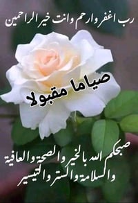 عامل سيراميك كاصوص الي محتاج عامل يتصل او واتساب