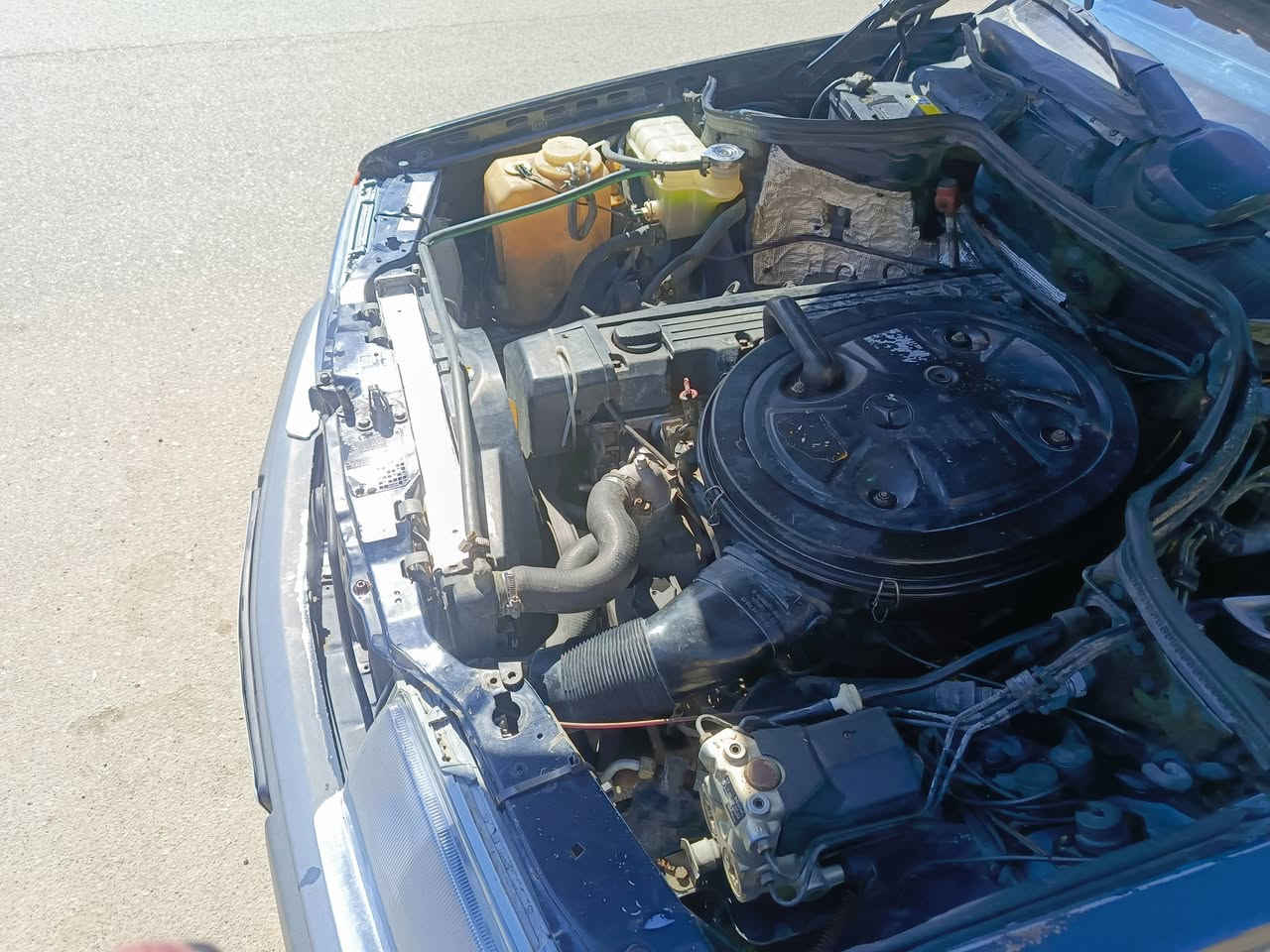 يالله
للبيع مارسدس دب موديل ٨٩ اصل 

اي بي اس 

رقم بغداد تحويل ثاني يوم 

محرك بلاد لا تنقيص ولا تبخير  

سياره كله على البلاد

  بيه رشات صبغ 

قواعد دبل سليمات

اريل كهرباء 

سنتر لوك 

مسجل بلاد 

تبريد وي السويج 

شلعه ومعدل خير من الله 

عليه منضومه بانزين جديد من التاني ل اخر شي 

لايتات جدد 

عليه زنون اصلي 

تخم تاير سياره جاهزه خير من الله 

سعر 55 وبي مجال

عنوان شطره 

***********

غير متواجد علنت
