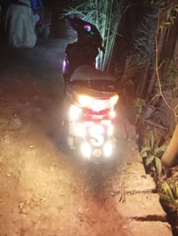 سكنس صيني • موديل 2021 • بابل