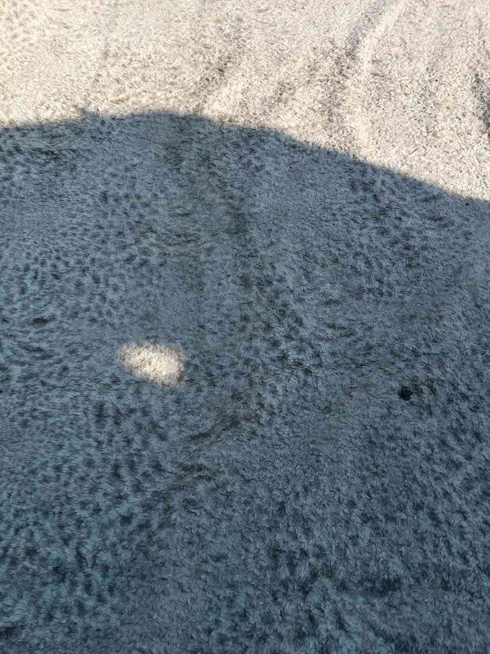 كاربت فرو نظيف يصير مال حولي أو مطبخ قياس ٣في ٣ سعرة ١٠


**إذا كنت صاحب هذا الإعلان وتريد حذفه لأي سبب، رجاءا أرسل رسالة إلى الدعم الفني**