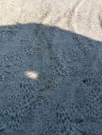 كاربت فرو • ٣في٣ • حولى/مطبخ