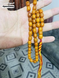 بولوني • كهرب • حراري