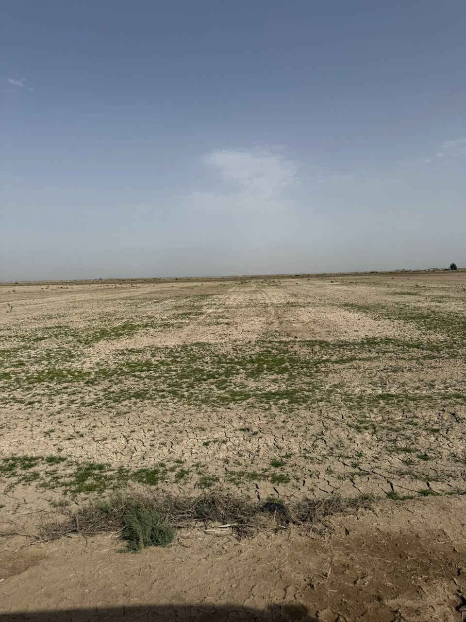 السلام عليكم ورحمة الله وبركاته
ارض زراعيه للبيع المساحة 40 دونم عقد 35 تنازل 

مباشر عقد مجدد وكأمل استصلاح زراعي نضام السقي 

إروائي قنوات و بزل حصه ماء صيف شتاء تبعد عن 

التبليط ٢ كيلو المكان الصويره سعر الدونم 2 مليون

للاستفسار اكثر /. ***********/.  ***********
