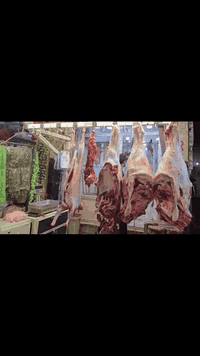 تعلن قصابة #البحراني 

عن وجود كافة اللحوم العراقية الخالصة 

لحم عجل عراقي 

لحم غنم عراقي 

ولحم راس مثروم 

شحم بطن 

رجلين وكسور عجل 

باجة ومعلاك 

العنوان/طويريج بداية سوق النساء قرب بسطيات الفلافل 

#قصابة_البحراني 

مع وجود توصيل لكافة مناطق طويريج  

***********/***********
