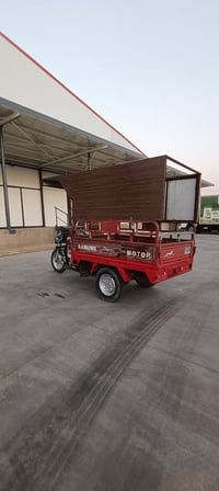ستوتة • ٢٠١٤ • ركبة شرط