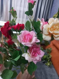 اغصان ورد • متدلي • متر ونص