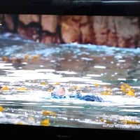 اخوان للبيع بلازما شاشه كوري بدون نيت سعر 55الف بي مجال 07764780708