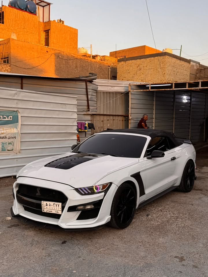موستانغ 2016
ايكو بوست
امريكي صور ضرر منشوره وبالعراق مابيه اي ضرر 

سياره فول مواصفات 

كشف مالته جديد

بجم كله لد متغير مع زنون عدسات

داخل جلد وكشنات كهرباء

وتدفئه وتبريد كشنات

شاشه جبيره ودمام بلاد

سياره جاهزه مابيه اي نقص

وترايه كلش حلو 

وتبريده ثلج

وكير ومكينه مكفولات

ماشيه91 الف

مكانه بغداد الشعب 

وسعره كلش كلش مناسب ب105

***********
