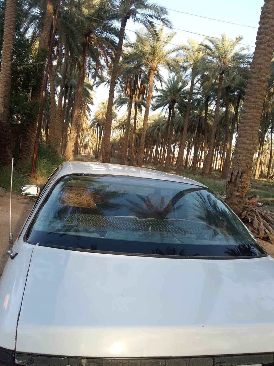 للبيع ابرنس 95 لون ابيض رقم كربلاء اوتو ماتيك سياره جاهزه كير ومحرك مكفولات اترايك للبصر مكان السياره بابل حله مراسلة الصفحه السعر 24


**إذا كنت صاحب هذا الإعلان وتريد حذفه لأي سبب، رجاءا أرسل رسالة إلى الدعم الفني**