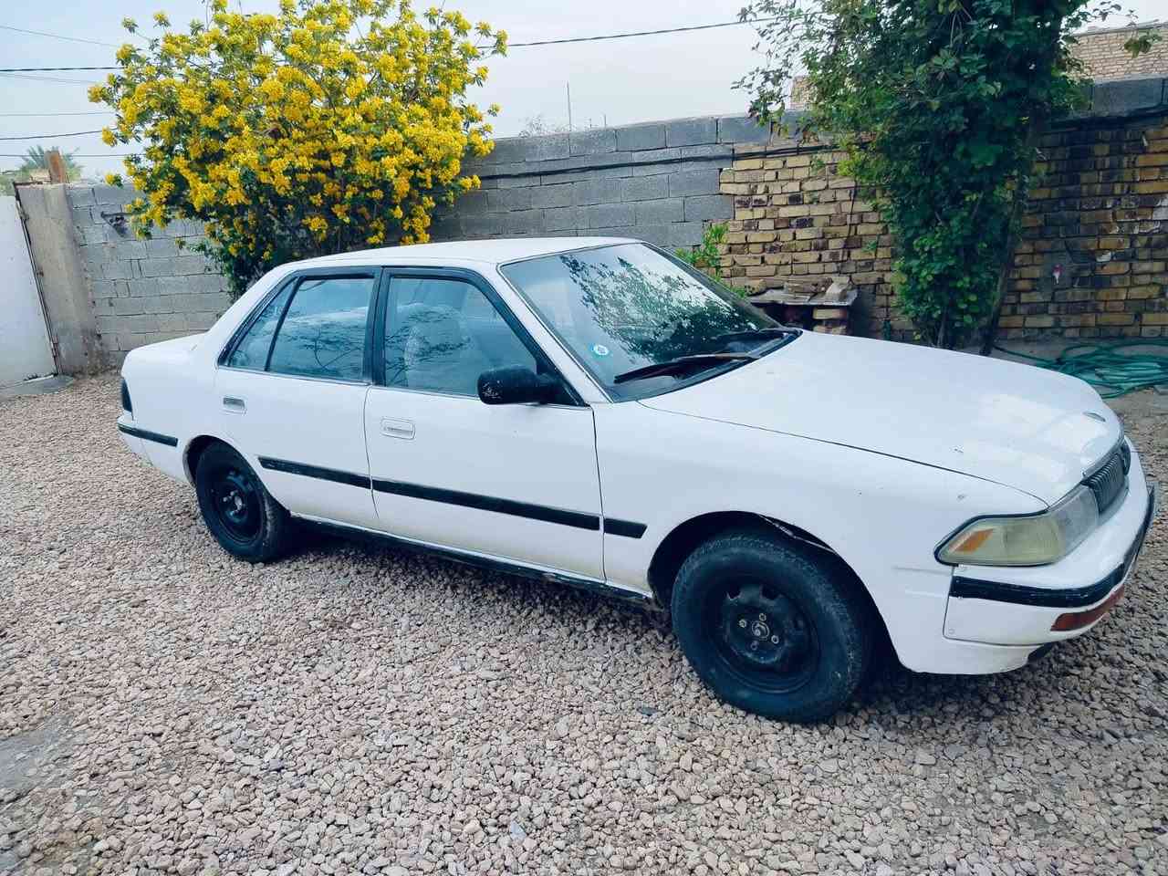 كرونا ٩١  بلادي كير ومكينه كابريته رقم نكليزي باسمي كربلاء  صار ٢٠ يوم محوله سنويه لل ٣١ سيارة حلوة*********** الديوانيه ناحيه السنيه
