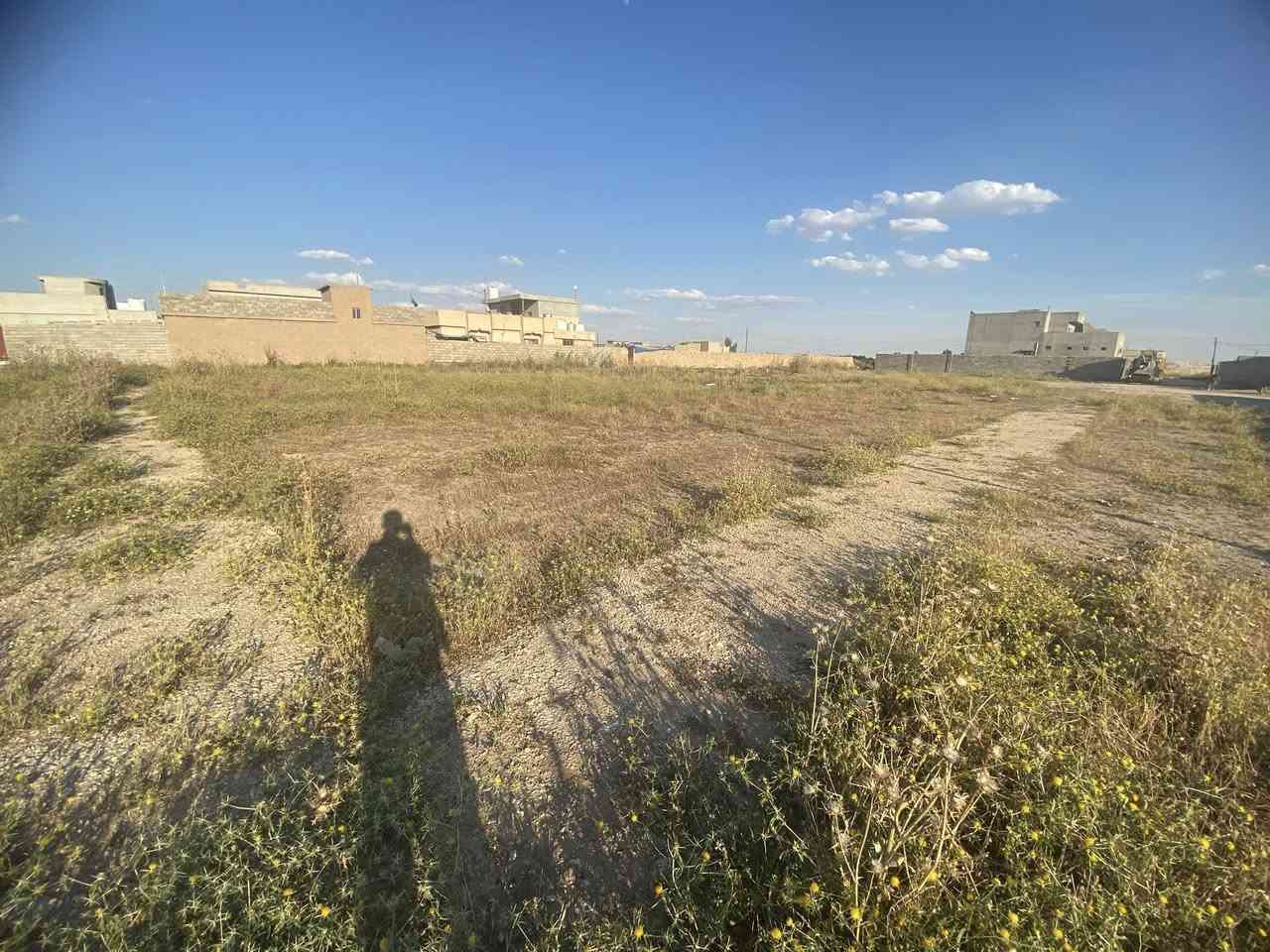 سلام عليكم قطعة ارض للبيع موقع شارع المطار كفاح الجنوبي مساحه ألف متر١٠٠٠كلشي متوفر بس من المي والكهرباء قريب لمدارس هم لاستفسار ***********
