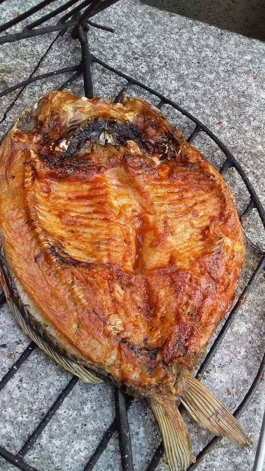 🐟 أسماك سنبلة 🐟

✨ اليوم الغدة عدنا غير 😍

🔥 مسكوف على الفحم بطعم ولا أطيب.

✅ كيلو المسكوف بـ ٨,٠٠٠ دينار فقط
🍚 ويجي وياه تمن أحمر

🥖 خبز

✅ كيلو السمك الحي بـ ٦,٠٠٠ دينار فقط.

📞 للحجز والاستفسار:
***********

🌾 تعال وجرب، وإن شاء الله يصير أسماك سنبلة خيارك الأول.
حياكم الله... وبالعافية عليكم. ❤️

#أسماك_سنبلة #بسماية #بغداد #سمك_مسكوف #مسكوف #سمك_حي #مطاعم_بسماية #أكل_عراقي #غداء #عشاكم_عدنا #سمك_طازج #عراقي
