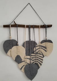 آخر القطع • حسب الطلب • عدة ألوان