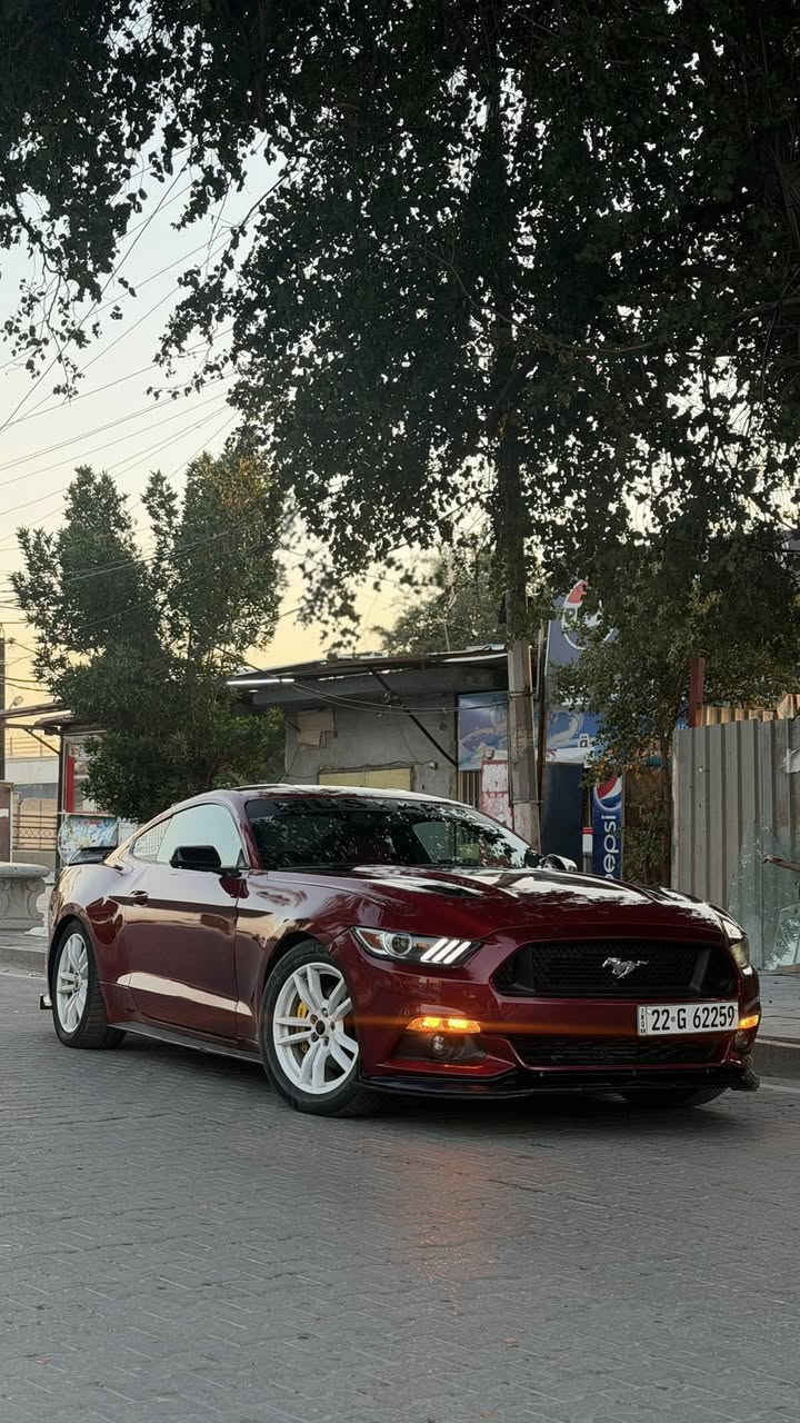 سلام عليكم حبايب 
موستنك ايكو بوست 4 سلندر توربو 
موديل 17 
قطعتين صبغ 
صدر امامي خلفي جديد 
تخم تاير جديد 
منضومه تبريد جديده 
بجم كامل gt 
داخل لونيه 
كلشي بيها شغال السياره مكفوله من كل شي رقم أربيل تحويل مباشر سنويه لل2029 
السعر 118 وبيها مجال بسيط 
مكان السياره بغداد
***********
