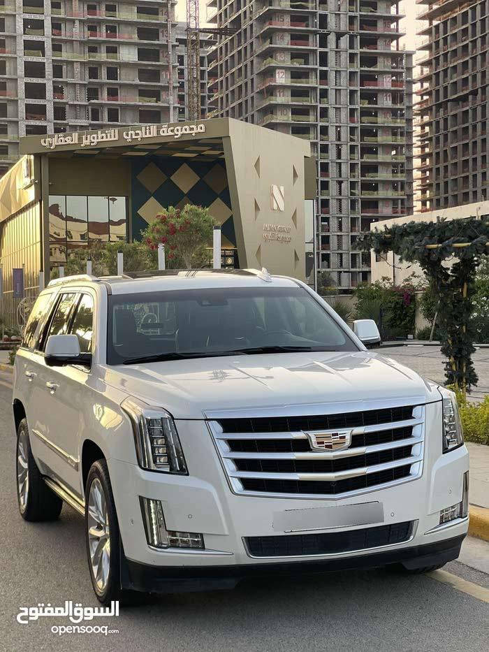 كاديلاك اسكاليد موديل
2019

للبيع

حادث خفيف موجوده الصور بلمنشور
بجم كبس

فول موصفات 1/1  

نبذة  عن مواصفات السياره

1- تشغيل عن بعد واطفاء

2-تحتوي على 5 كامرات ذات رؤية 360درجه

3-شاشات كبيره عدد 2

4-رادارات اماميه خلفيه جانبي

5-نقاط عمياء جانبية 

6-دوسات بانزين وبريك متحركة

7-بصمه عدد 5

8-سلايد

9-كشنات جلد بيجي

10-جميع الكشنات تحكم كهربائي 

11-كشنات خلفيه منفصل VIP

12-جنطة خلفية كهربائية

13-تدفئة وتبريد كشنات امامي مع تدفئة كشنات خلفي مع تدفئة ستيرن 

14-عداد الكتروني للسرعه ؏ الجامه الاماميه داتة شو 

15-نظام صوتي قوي جداً 

16-نظام تحديد المسار مع اهتزاز كشن السايق في حال مغادرة المسار 

17-لايت full led متحركات

18-نظام دفع رباعي4x4 مع نظام دفع ثنائي خلفي 4x2

19-قاصه مع رمز امان

20- النظام الصوتي يحتوي على aux/usb/Bluetooth/apple car play/android auto

21-اربع وضعيات للقياده سبورت/ايكو/نورمال/سنو الثلجية

22-ويل كروم حجم 22 مميز

23-حساسات امامي خلفي

-تحكم تبريد خلفي منفصل

-ميموري كشنات

-محرك V8 سعة 6200

- كير 10 نمر

-نظام ترحيب

- مري شفط

وبعد هواي مواصفات غير هذني

السياره رقم بغداد الدولي رقم حلو متكرر

شراي يتصل
***********
