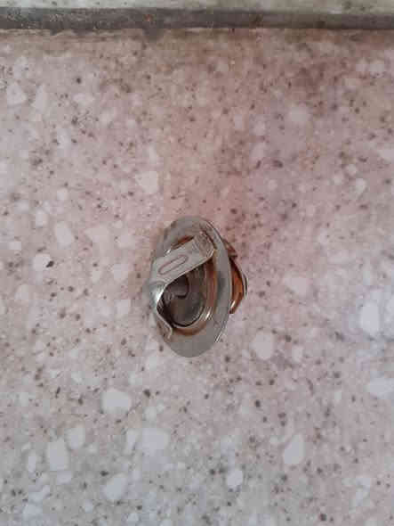 للبيع
ولف حماوة دولفين
السعر ٥
بغداد اعظمية
***********
