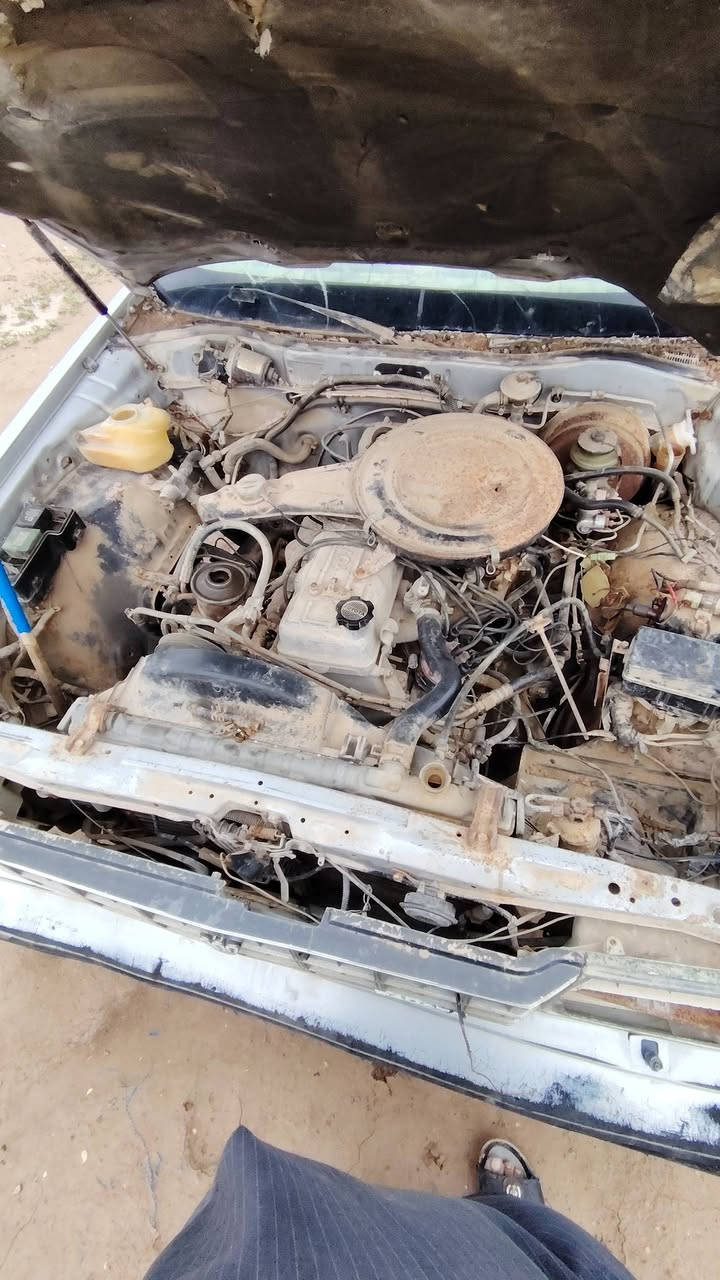 السلام عليكم سوبر 84 رقم نينوى صاحبههه ماندله سياره متروكه مثل ماموضحه بصوره شراي يخابر لايتعبني *********** غير متواجد ع فيس
