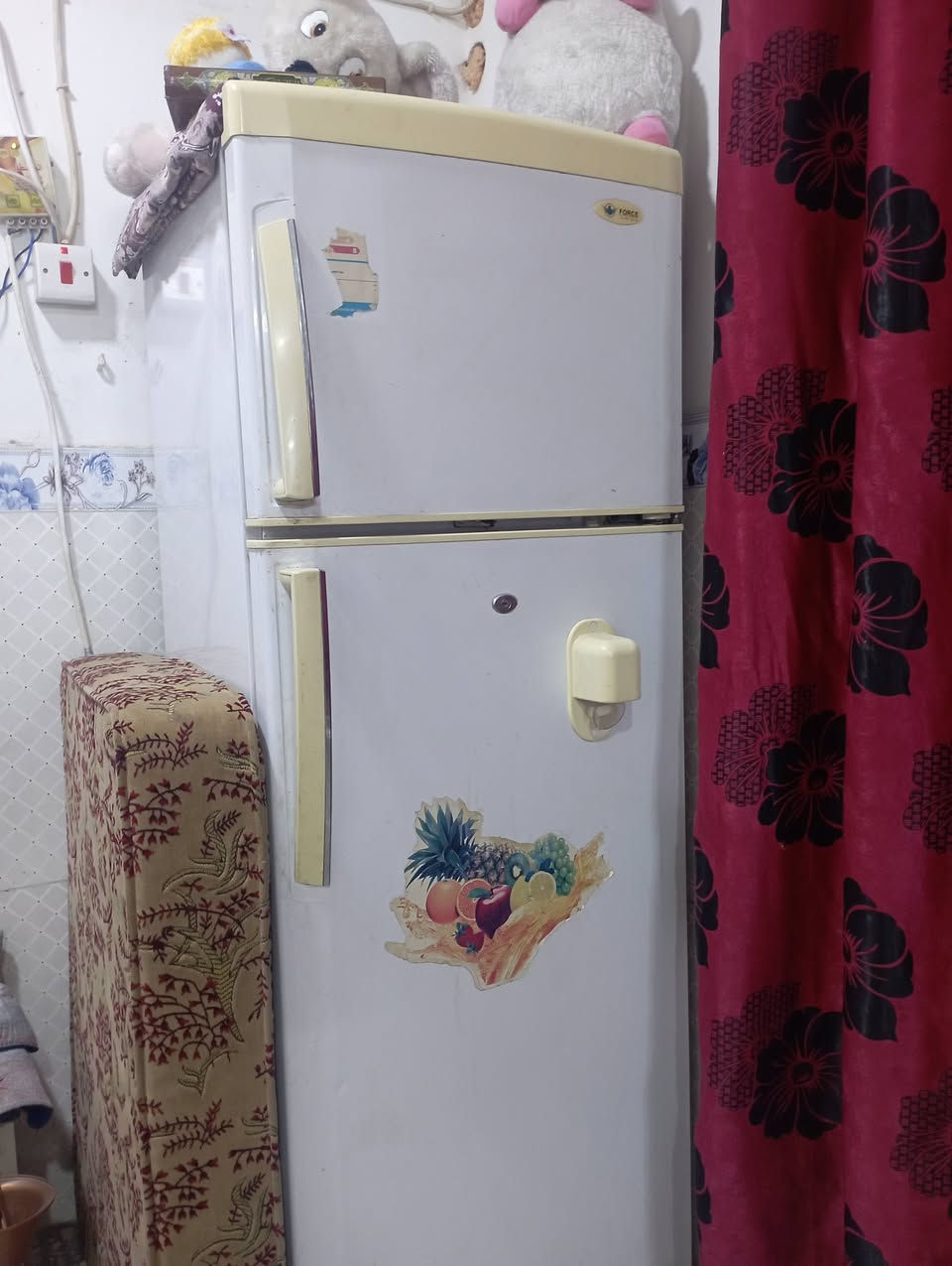 ثلاجه للبيع نضيفه وتجميد فول ممصلحه ماطورهه الاصلي 
١٠٠ وبيهه مجال الي تريدهه تراسلني


**إذا كنت صاحب هذا الإعلان وتريد حذفه لأي سبب، رجاءا أرسل رسالة إلى الدعم الفني**