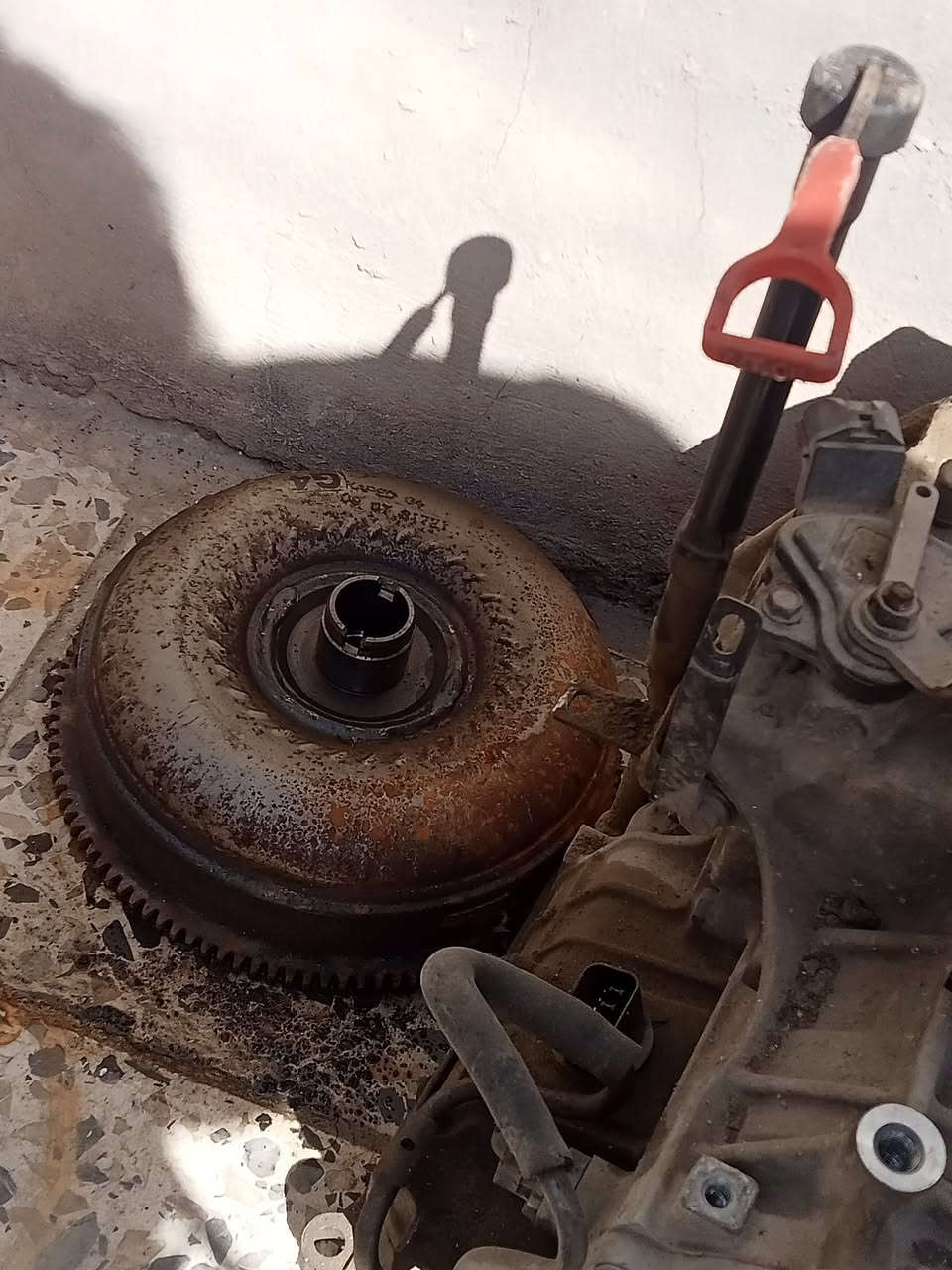 للبيع كير النترا مقدس محرك ٢٠٠٠
بي صوت بوربرن فقط


**إذا كنت صاحب هذا الإعلان وتريد حذفه لأي سبب، رجاءا أرسل رسالة إلى الدعم الفني**