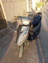 ماكس • نضيفه • سلف