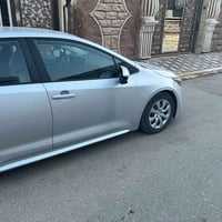 كورلة • ٢٠٢١ • وارد امريكي