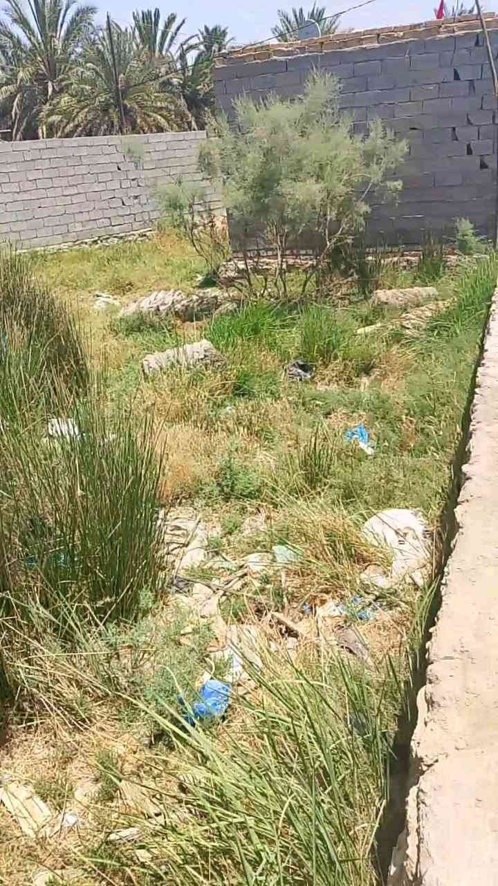 قطعة 100 متر مربع من غير الممر
قرار محكمة سند 25 طابو زراعي 
ورة جامعة المثنى حي الجامعة 
السعر 8مليون ترهم نقد وقصاد 
***********
