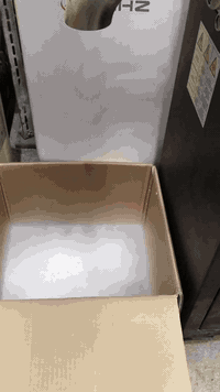 بغداد ٠٧٩٠١٣٢٣٨٠٨