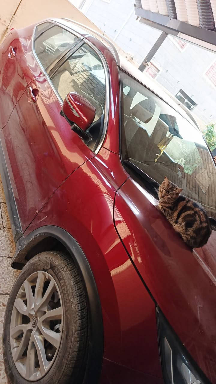 نيسان روج ٢١محرك ٤سلندر كونان جلد كهرباء تبريد قطعتين مركزي بصمه تشغيل عن بعد SV   باسمي رقم اربيل مكاني بغداد /الكرخ رقم موبايل ***********
