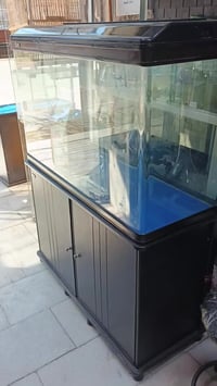 متوفر لدي 07733371893 بغداد البنوك