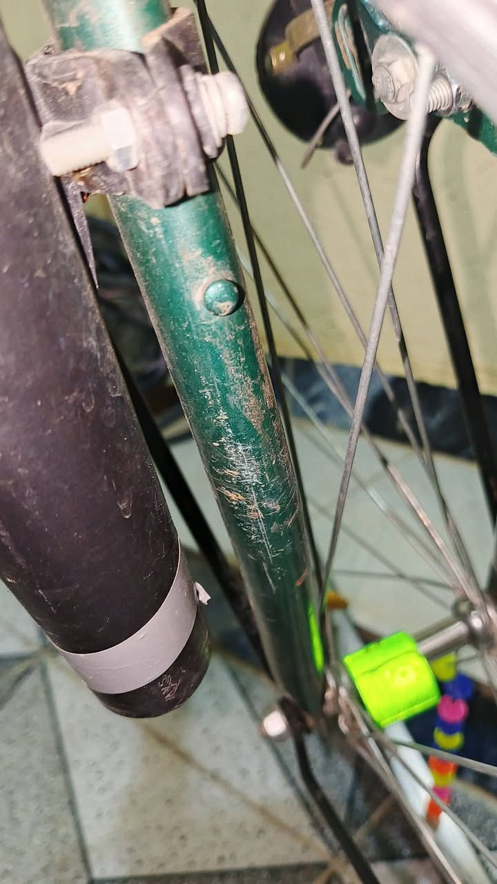 حبايب كلبي بايسكل مراوس تريد تراوس دزلي صورته بايسكلك


**إذا كنت صاحب هذا الإعلان وتريد حذفه لأي سبب، رجاءا أرسل رسالة إلى الدعم الفني**