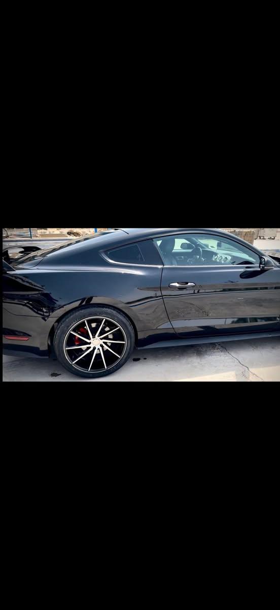 موستنك ٢٠٢٣ ايكو فول دجتل بدون اي نقص او خلل ماشيه ٢٦ حادث بس بنيد مبدل نفس اللون من امريكا جتي بيه الجاملغ الخلفي جهة السايق كلير فقط بدون حادث مسبق 
بيع او مراوس ب سكات 
***********
