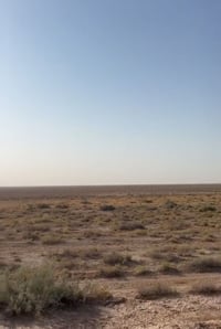 ارض طابو • ٤٠٠ دونم • واسط الكوت البسروكيه