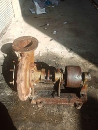 خنزيره • ٦/٨ • الرمادي