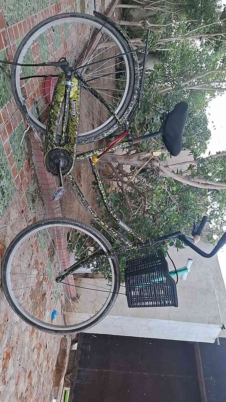 سلام عليكم
بايسكل للبيع نضافه 90%  السعر 70 مكاني الديوم 
***********
