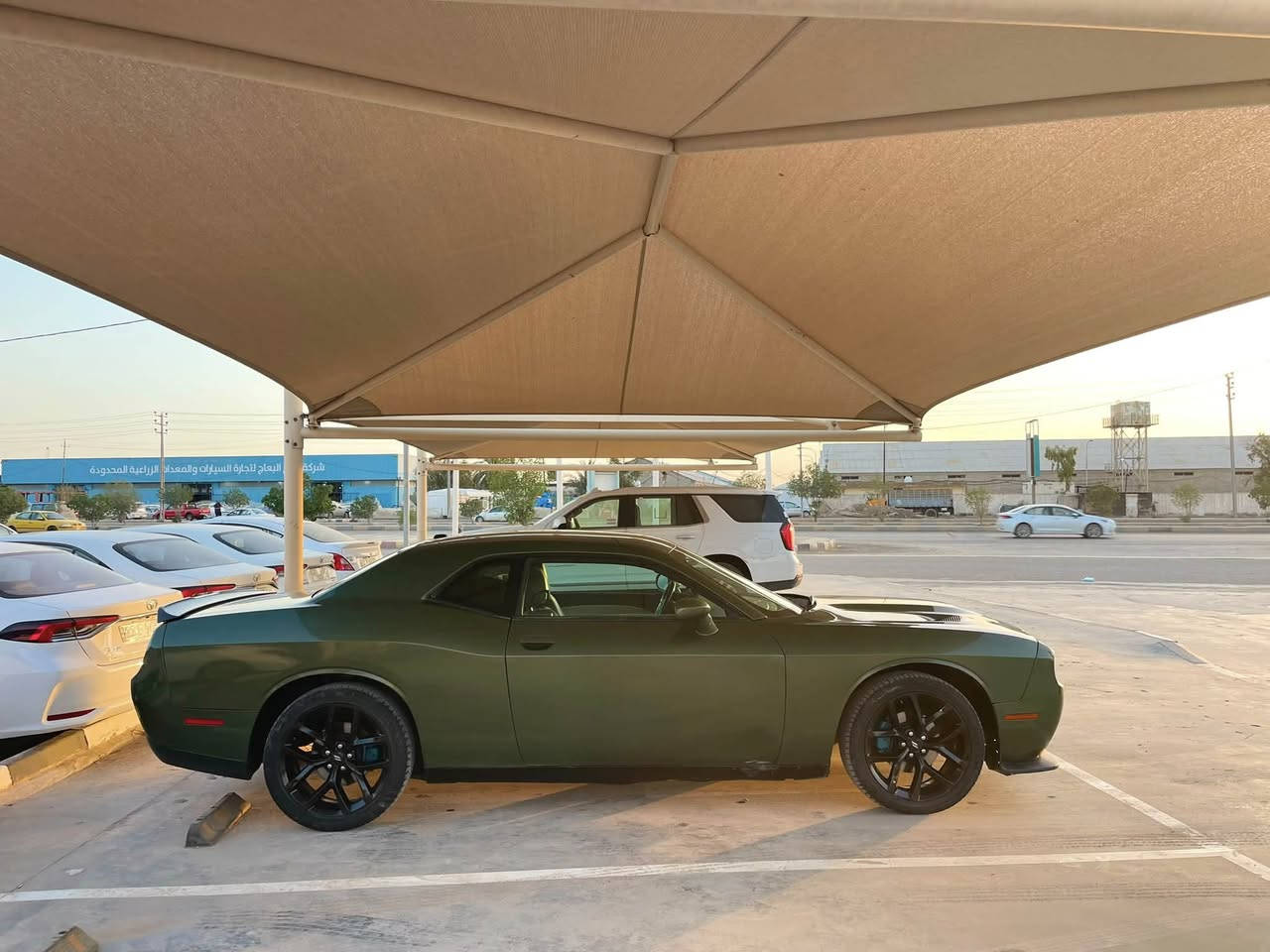 جالنجر 2019   SXT السعر $129
مكينه  3600  ماشيه  78mi
حادثه جاملغ وبنيد وبيه قطع
 صبغ  مكانه ديوانيه  مركز 
***********
