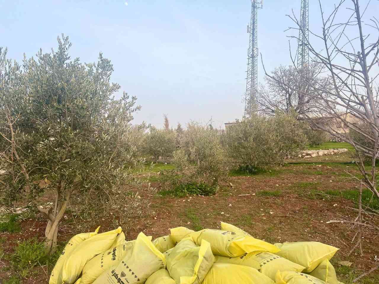 فرصة استثمارية تستحق المشاهده 👇🏻✅
 شاليه /مزرعه للبيع في #العالوك 🏡 قضاء #بيرين ذات إطلاله رهيبه على جبال #عجلون و #جرش مستويه مثل الكف لا يوجد منسوب ابداً اعلى قمه 
-محاطه بأشجار البلوط🌳🍂
-الأرض (كوشان مستقل)
-المساحة الإجمالية: ٣،٤٠٠ متر مربع
-مساحه البناء للبيت ١٦٠ متر 
-تبعد فقط ٦ كيلو عن #شارع_الأردن 🇯🇴 
#جامعة_العلوم_التطبيقية ما يقارب ١٤ كيلو 
{تحتوي المزرعه} على ⬇️
-غرفه نوم ماستر ٢
-صاله جلوس - مطبخ تشطيب سوبر ديلوكس 
-مدفئه 🔥
-حمامات /شورات داخليه و خارجيه 
_جلسات خارجيه _كشافات طاقه شمسيه بوابه كهرباء 
-ساحات خارجيه 
-بركه سباحه 
-بئر مياه تجميع يتسع ما يقارب ٥٠ متر ماء
-غرفه حارس ومستودع
-كراج
-قسم كبير من المزرعه أشجار🌳🌳مثمرة زيتون رمان ليمون برتقال اكثر من 120 شجره  وبلوط 
✅ مخدومة بالكامل 
-ساعه كهرباء وماء
تصلح للاستثمار اوالاستخدام الشخصي
.
0778719605

0799500712

.
.


**إذا كنت صاحب هذا الإعلان وتريد حذفه لأي سبب، رجاءا أرسل رسالة إلى الدعم الفني**