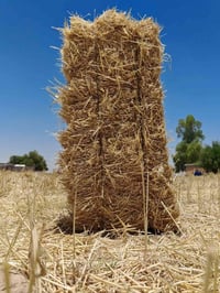 كبس • توصيل • النباعي