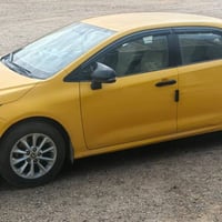 كورلا خليجي • ٢٠٢٠ • الانبار