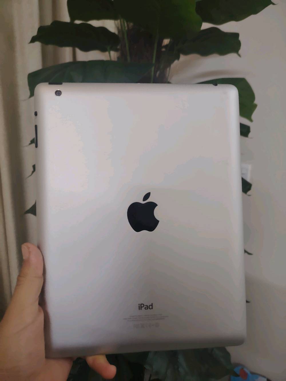 العنوان بغداد الوزيريه شارع نجيب باشا
متوفر ايبادين 4 ذاكره 16 ما مبدل بي شي ثنينهن نفس النظافه السعر الواحد 50 وبي مجال الرقم *********** 