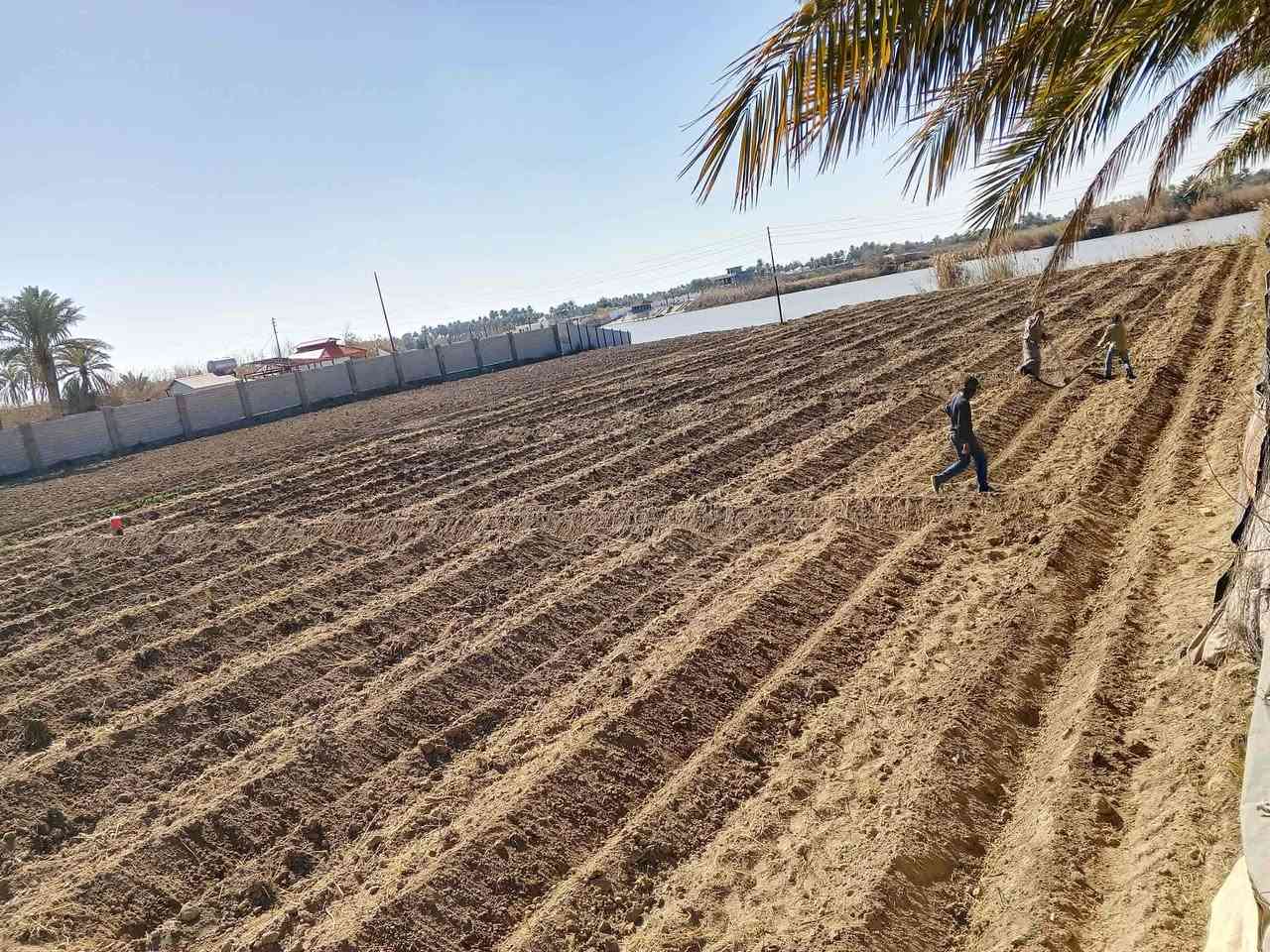 للبيع 

كاع أربعة دوانم ع نهر الفرات 
في الصقلاوية منطقة البعكاش 
استفسار اكثر اتصل ع الرقم 
***********
***********
