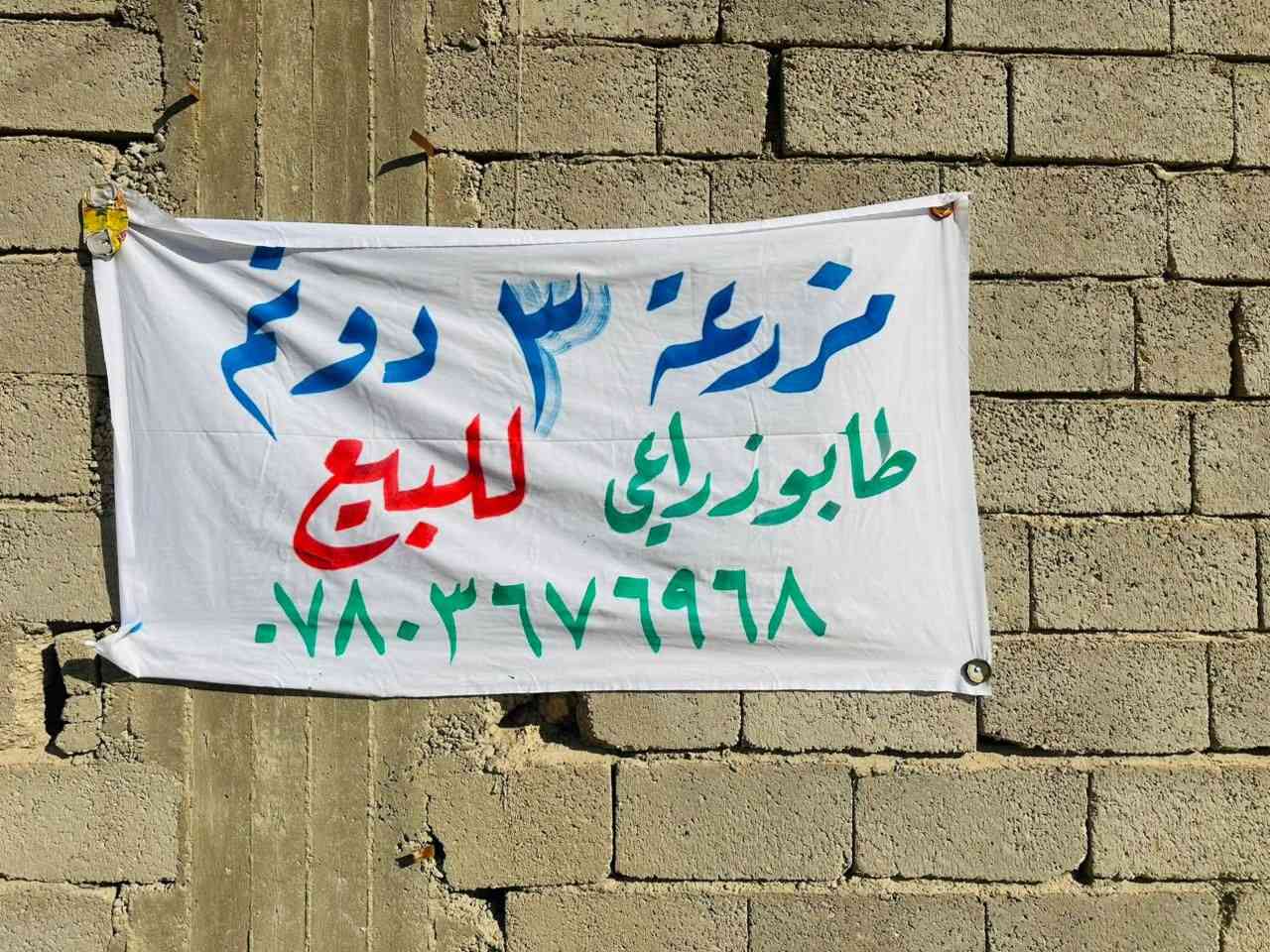 للبيع 
مزرعة  ٣ دونم طابو زراعي ٢٥  للبيع 
الموقع/ طويريج/ الرجيبه/ قرب شارع العام 
شارع السادة ال بو زبد 
للتواصل عبر الهاتف ***********
