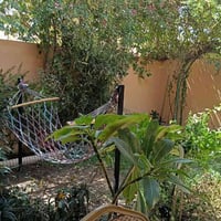 الكوثر أبو غرق • ١٥٠م • طابو ملك