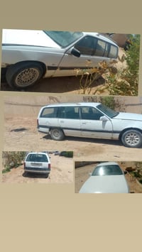 مراوس • للبيع • راسلني بكرة